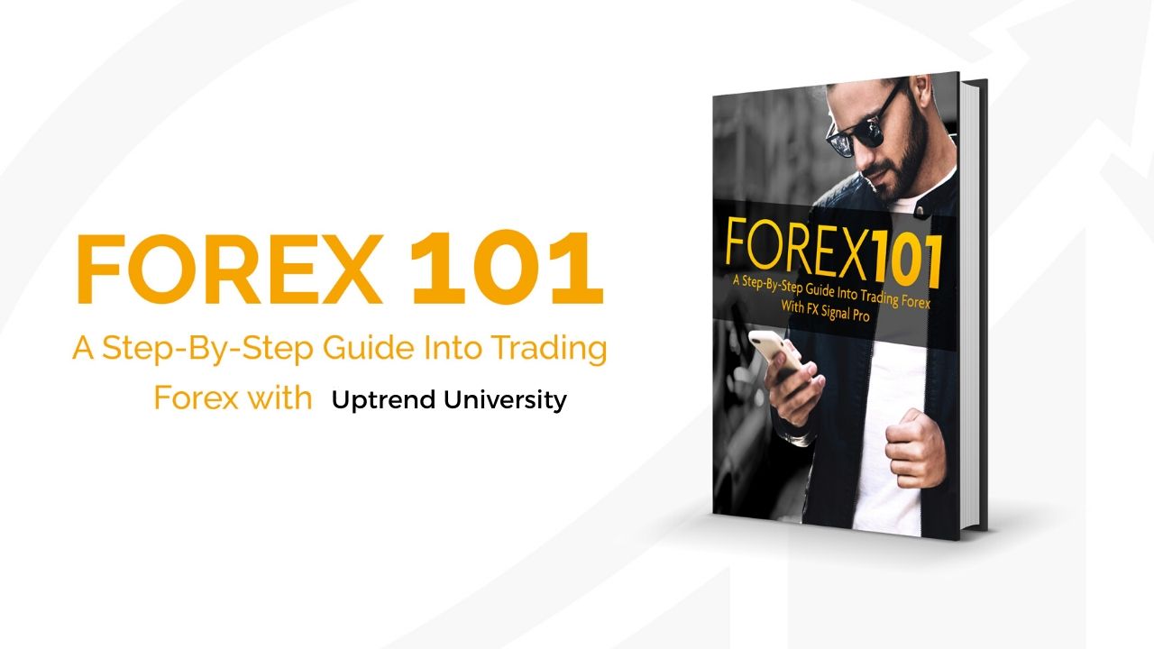 Forex 101 deals