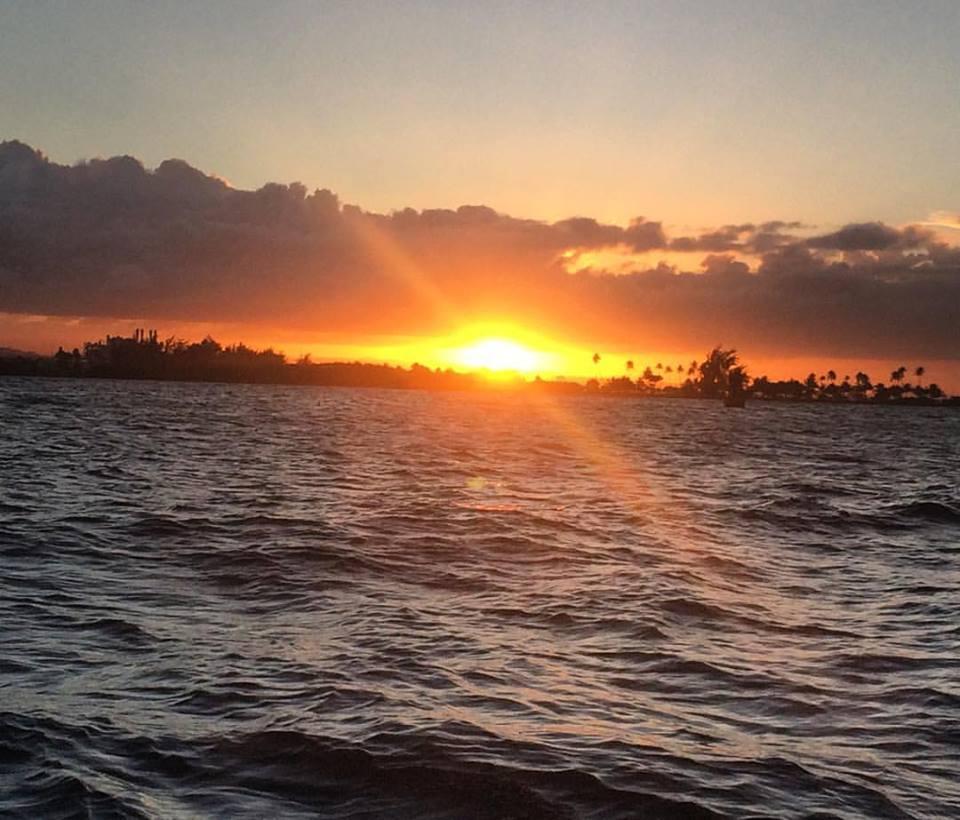 Sunset Sail photo 2