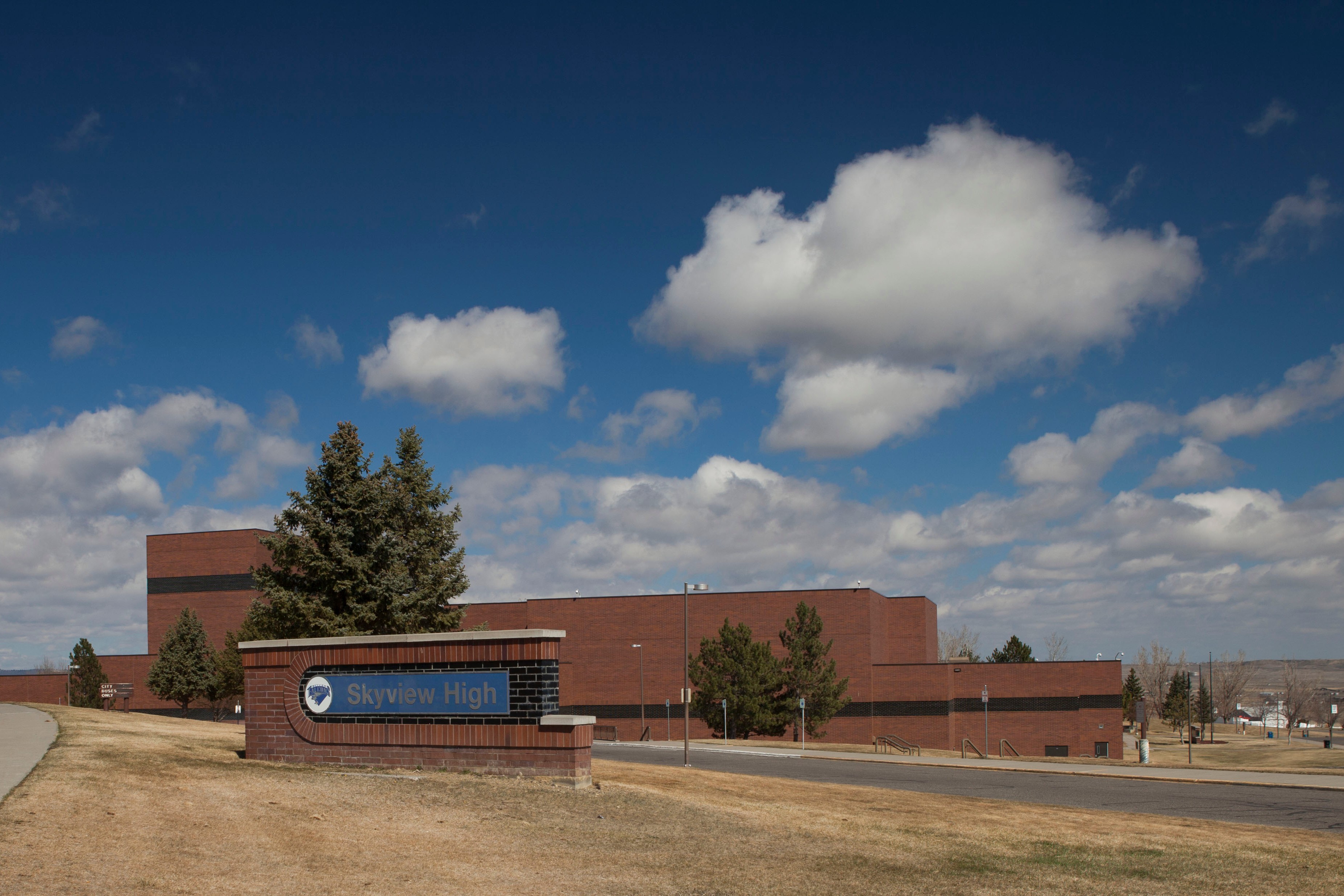 Skyview High