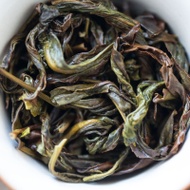 Citrus Grandis 2022 Spring Youhua Xiang Dancong Oolong from Bitterleaf Teas