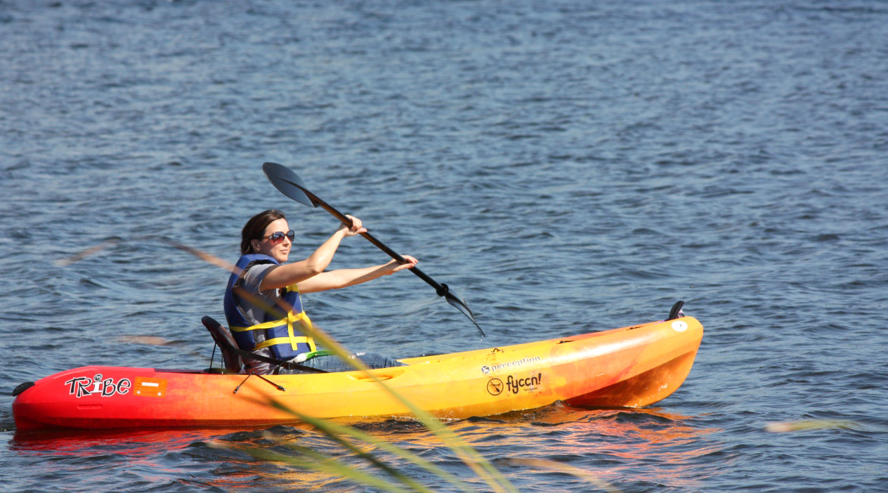 FullDay Single Person Kayak Rental in Tampa in Tampa Book Tours