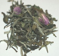 White Peony with Rose Buds from Green Mountain Tea