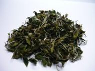 WHITE MAGIC – CLONAL WHITE TEA. (1ST FLUSH – 2013 from DARJEELING TEA LOVERS