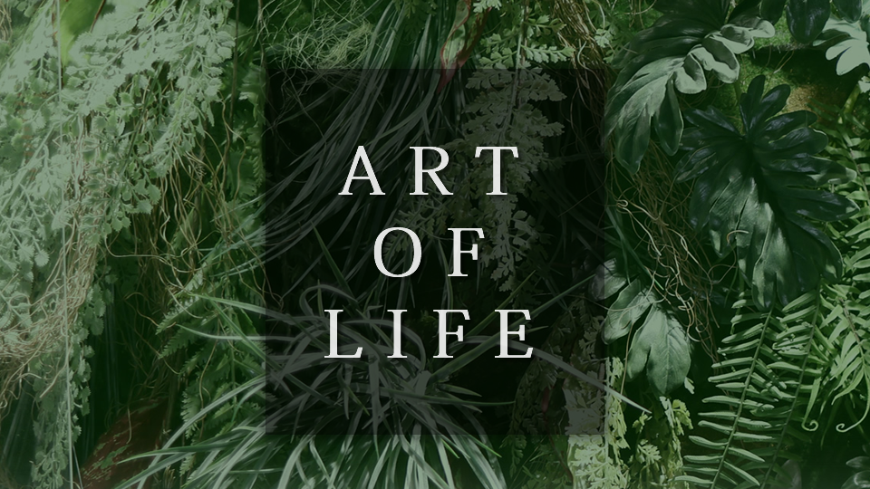 Arts Of Art