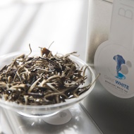 Giant White 2015 Spring Jing Gu Moonlight White Tea from Bitterleaf Teas