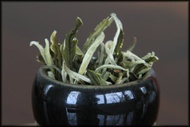 Esmerelda from Whispering Pines Tea Company