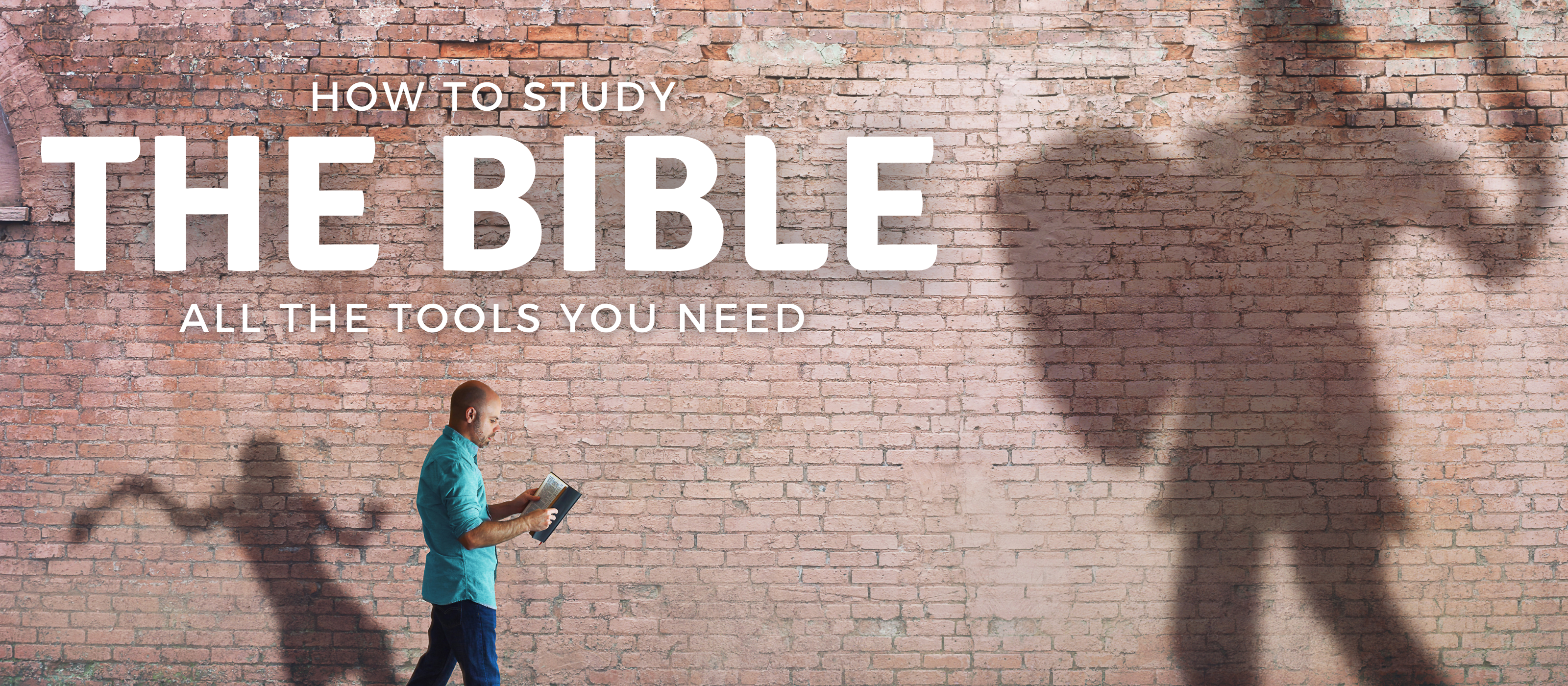 Product image for How To Study the Bible