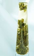 Gin Shan Creme (White Dragon) from Teas.com.au