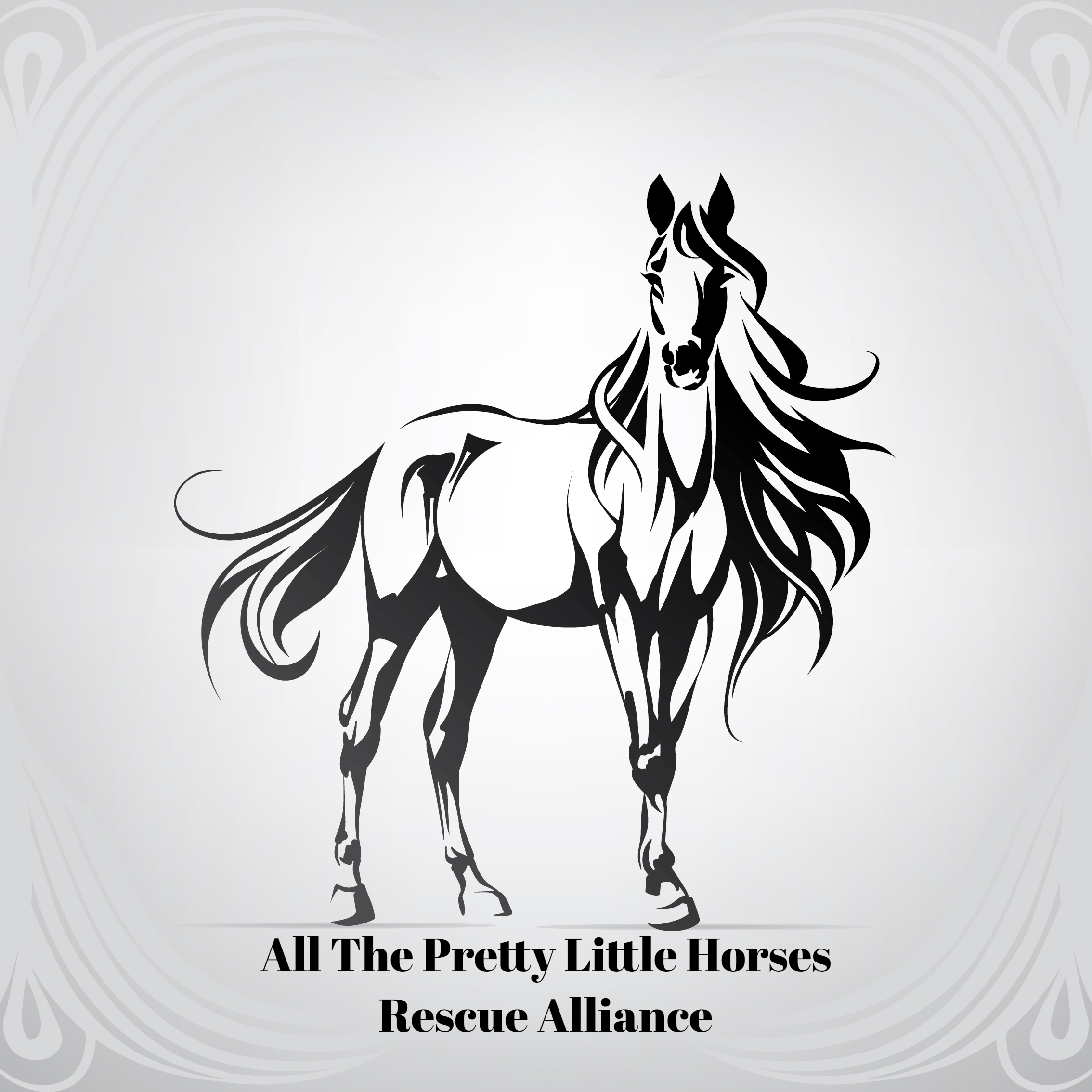 All The Pretty Little Horses All The Pretty Little Horses Rescue