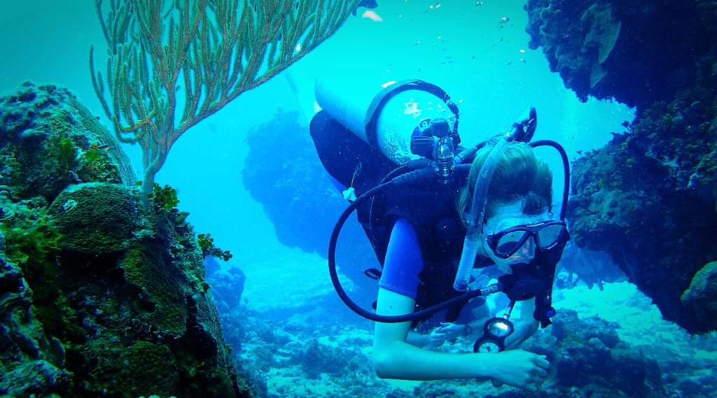 Snorkel Trip in Miami Book Tours & Activities at