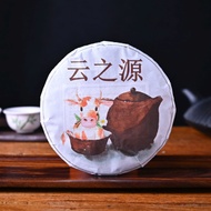 2021 Yunnan Sourcing "Little Treasure" Raw Pu-erh Tea Cake from Yunnan Sourcing