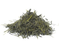 Sencha from Tenryû, Tatsukawa, Y-2 (Yutaka-midori) cultivar from Thés du Japon