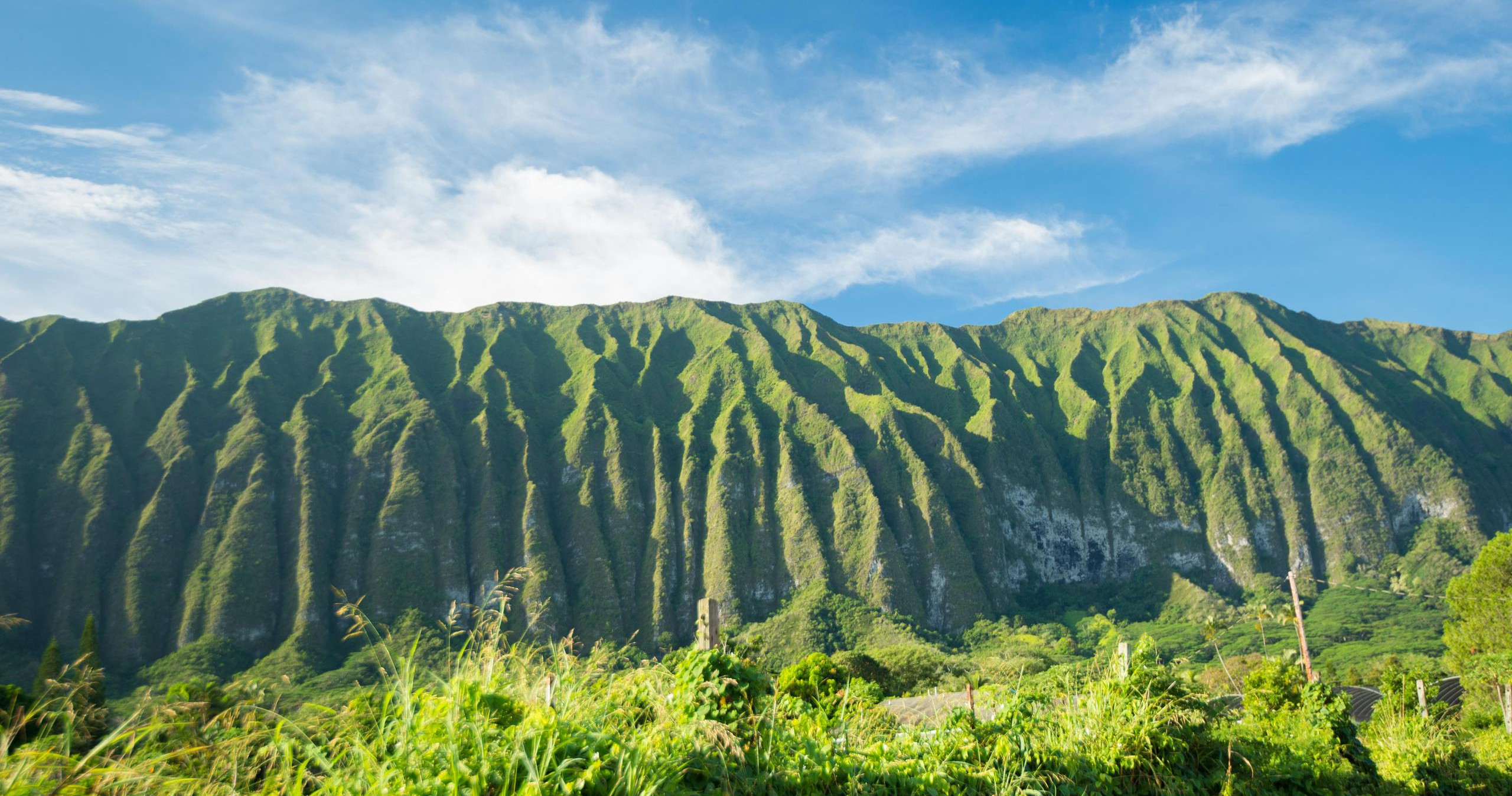 Beautiful Colors of Hawaii Photo Tour photo 5