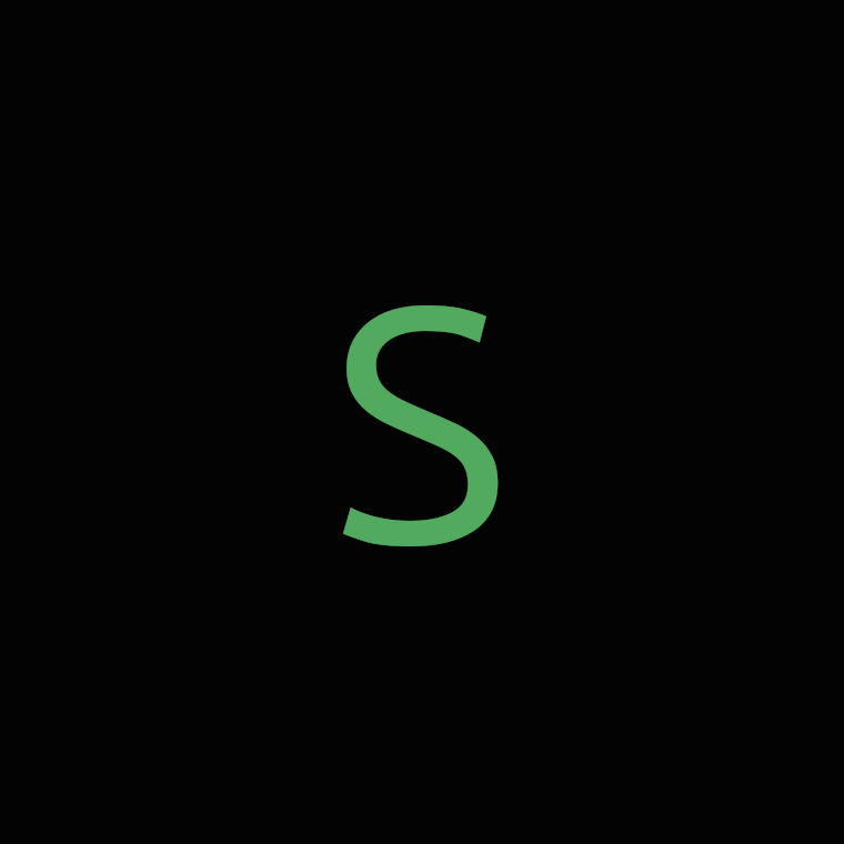 Sashin Exists logo