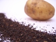 Irish Breakfast Blend from First Class Teas