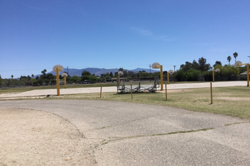 The Field