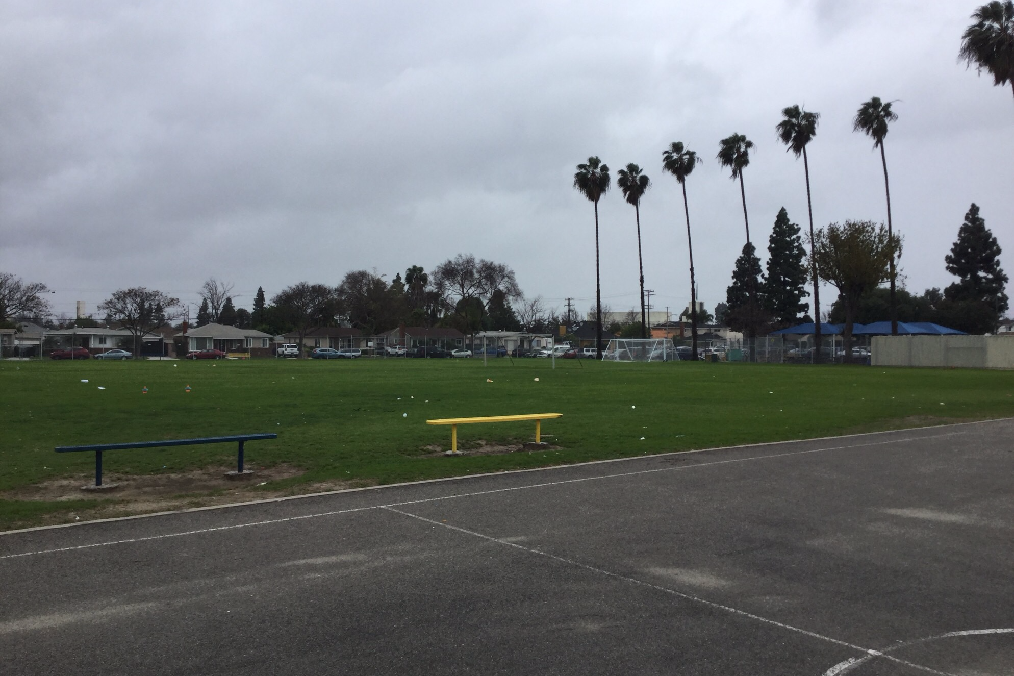 Field-West