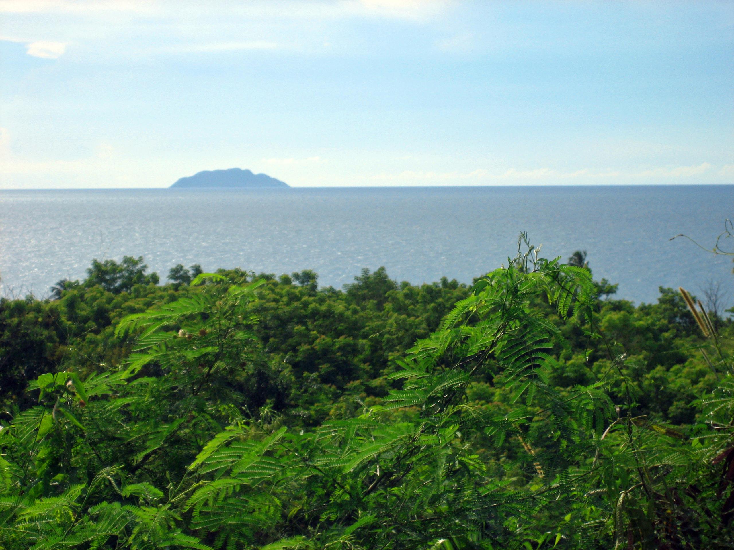 Bio Bay Tour