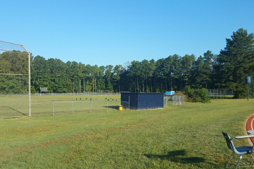 Baseball Field