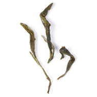 Ancient Tree Green Puerh from Masters Teas
