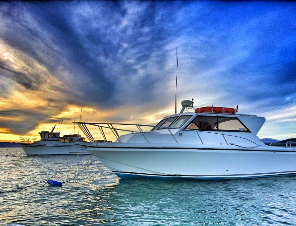 Fishing Charters photo 1