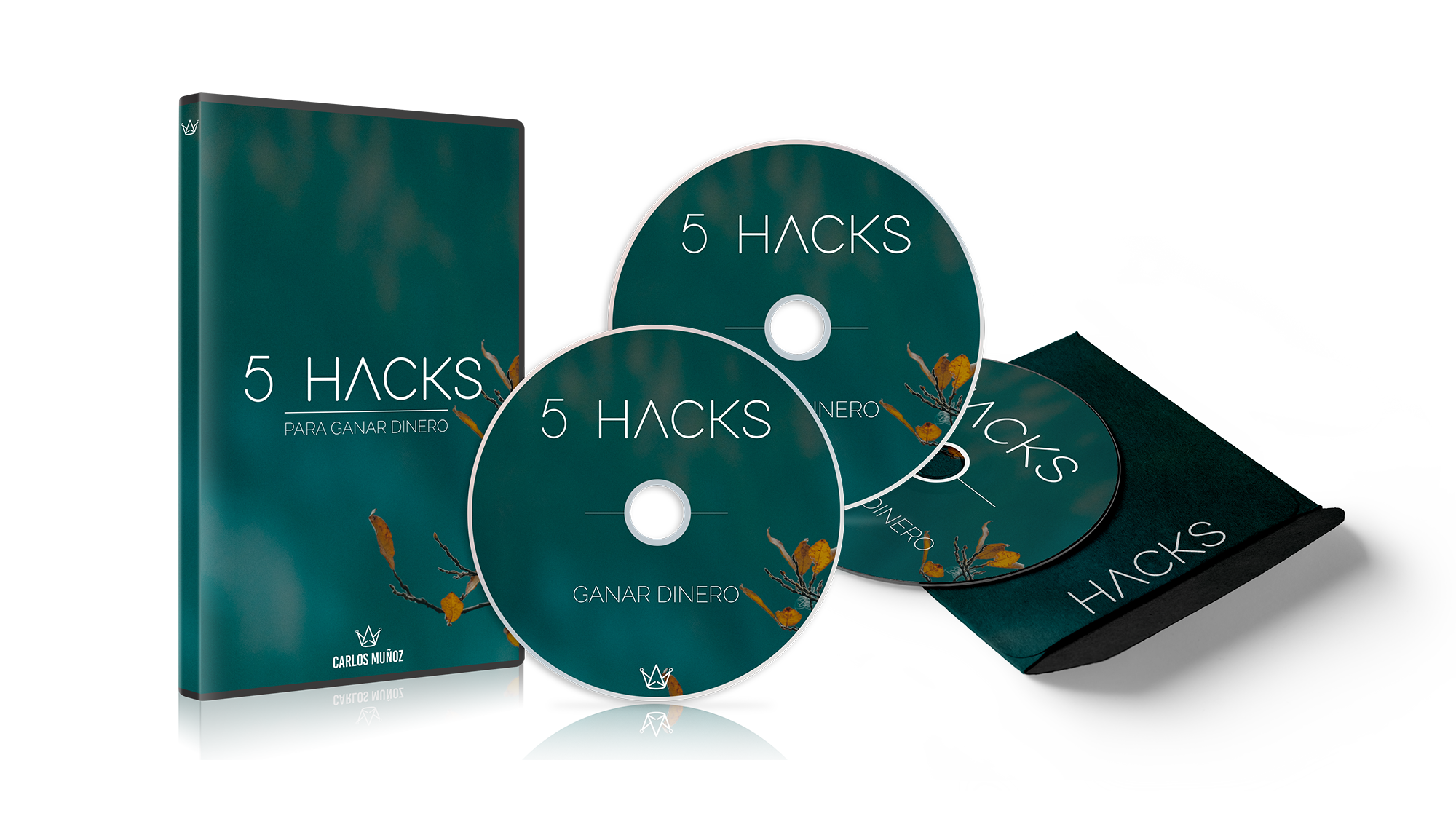 bonus-ebook-5-hacks-para-ganar-dinero-con-pocos-seguidores-maestro