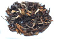 Himalayan Orange from Jun Chiyabari (HOR) from Jun Chiyabari
