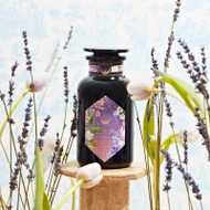 Perfumes of Provence from Magic Hour