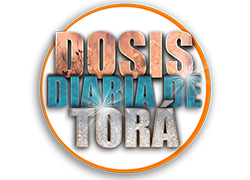 Toras dovid community kollel inc. logo