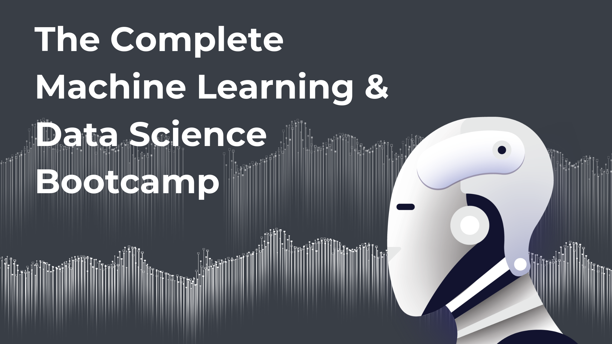 \u0026 Machine Learning Bootcamp 