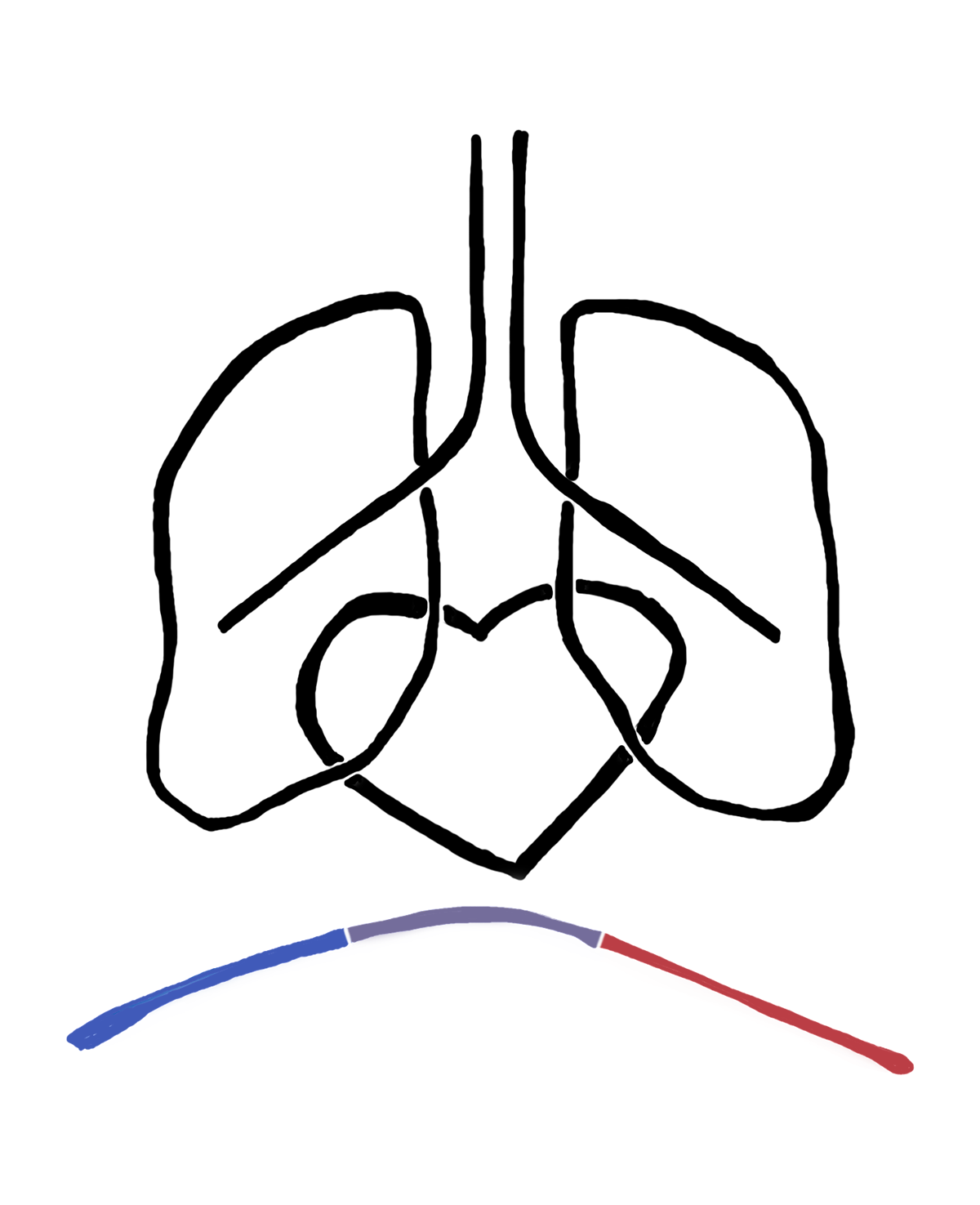 Health & Human Performance Foundation logo