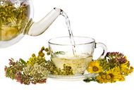 Maus' Pain Killer Herbal Tea from Mountain Maus Remedies