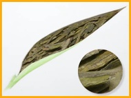 Organic Green Dragonwell from T-Buds The Uptown Tea Lounge