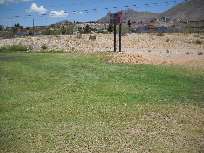 Playfield