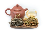 2013 Bangma Ancient Tree Sheng - Puerh from Tribute Tea Company