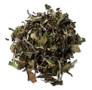 Angelic from Letterbox Tea