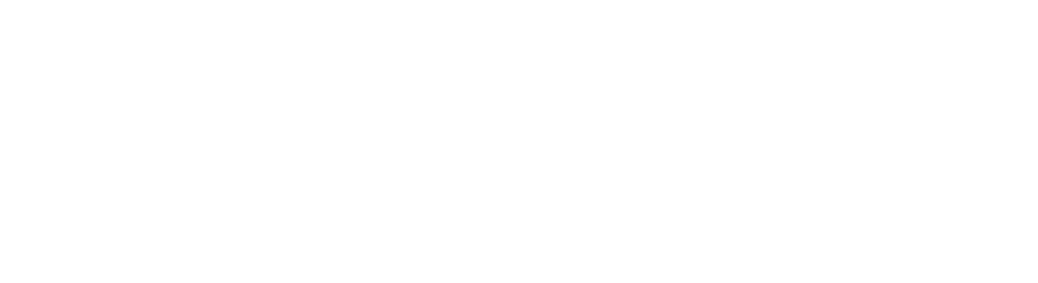 The Polyglot Developer
