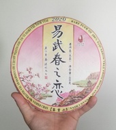 2020 Full Body Tea from Yiwu, Vesper Chan from Liquid Proust Teas