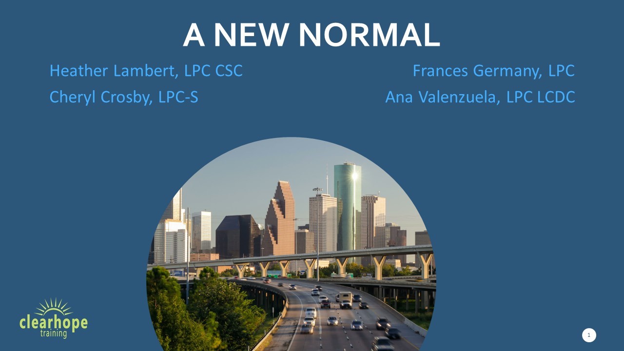 Product image for A New Normal