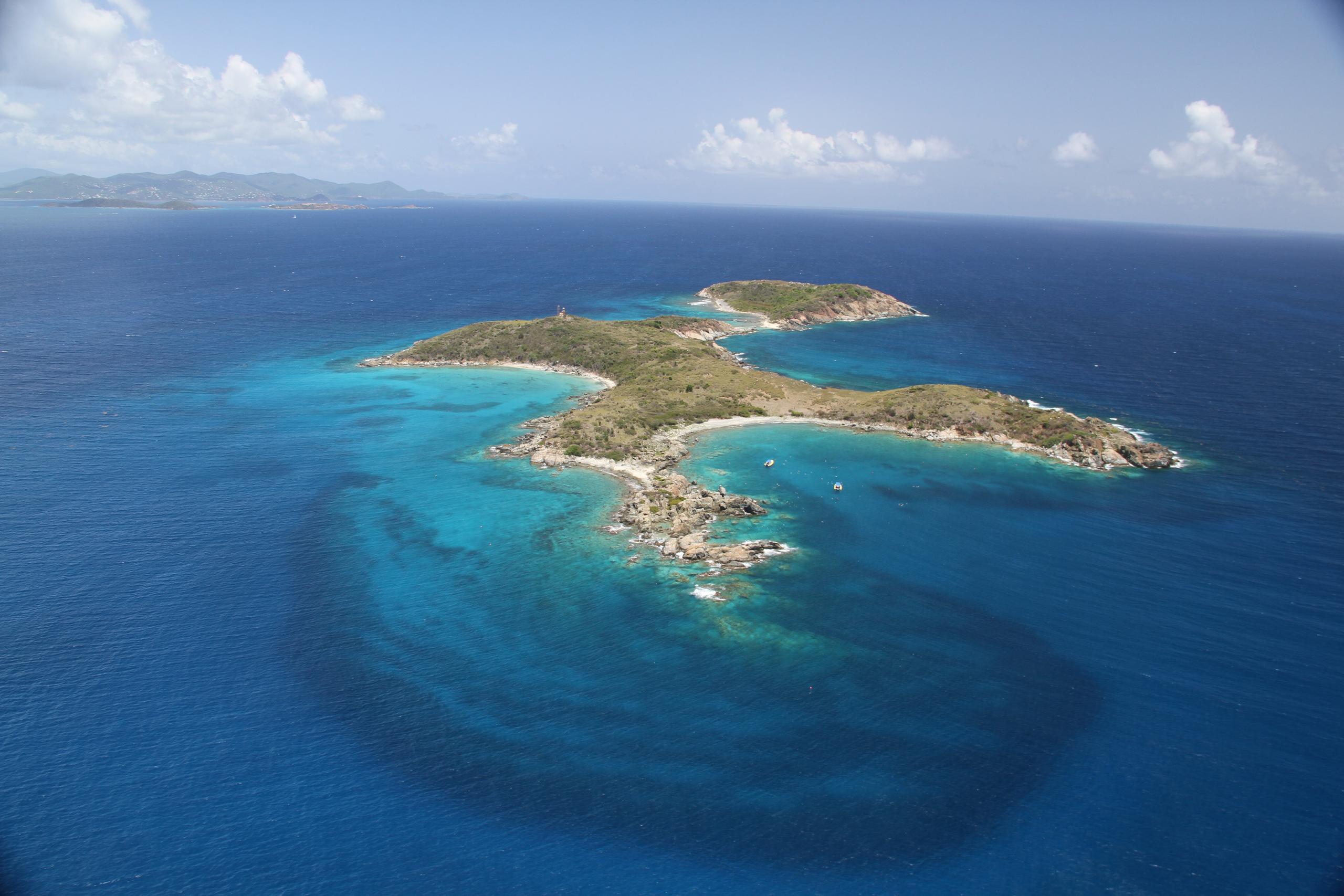 Turtle Cove Catamaran Snorkel & Sail Adventure at Little Buck Island St. Thomas photo 4