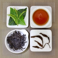 Lane 503 Project Organic High Mountain Wuyi Spring Black Tea, Lot 618 from Taiwan Tea Crafts