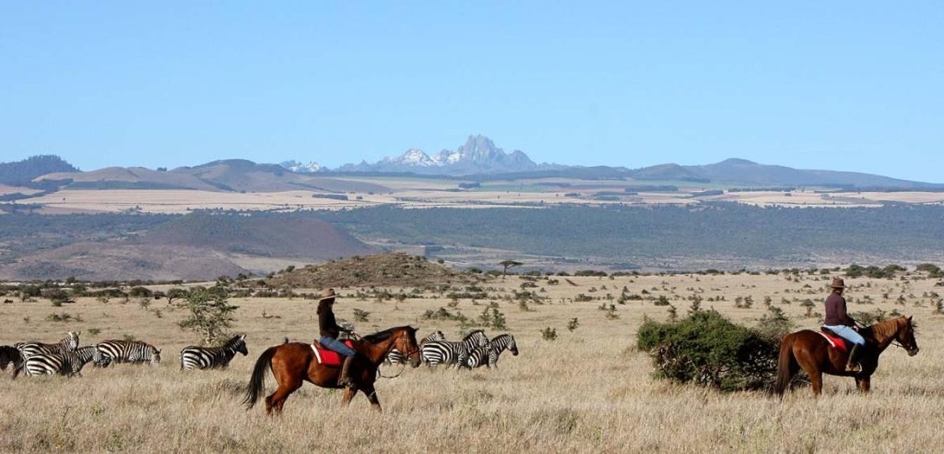 Horse Riding in the Conservancy