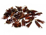 Magnolia from ESGREEN