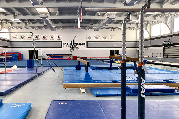 Gymnastics Gym