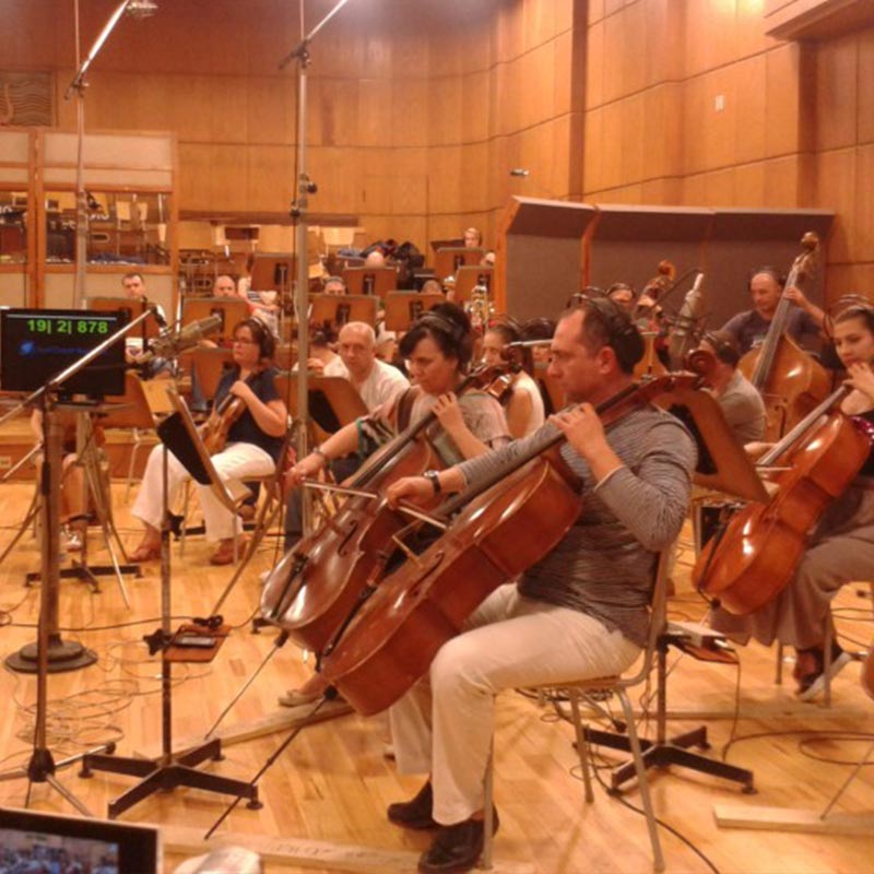 Product image for Orchestration Acoustics