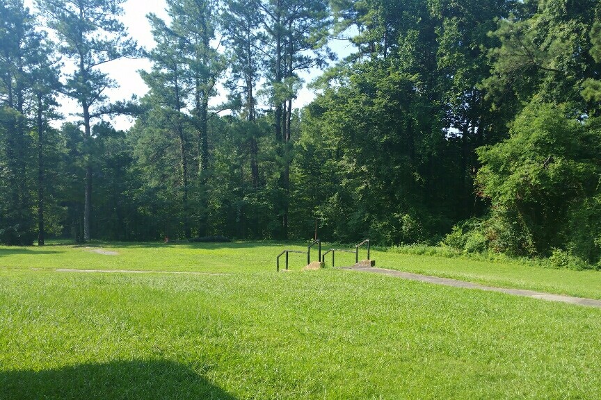 Field