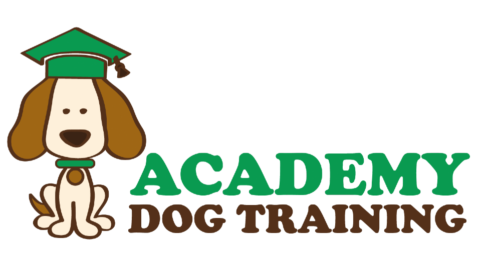 Academy Dog Training Good Dog Level 1 School For Dogs