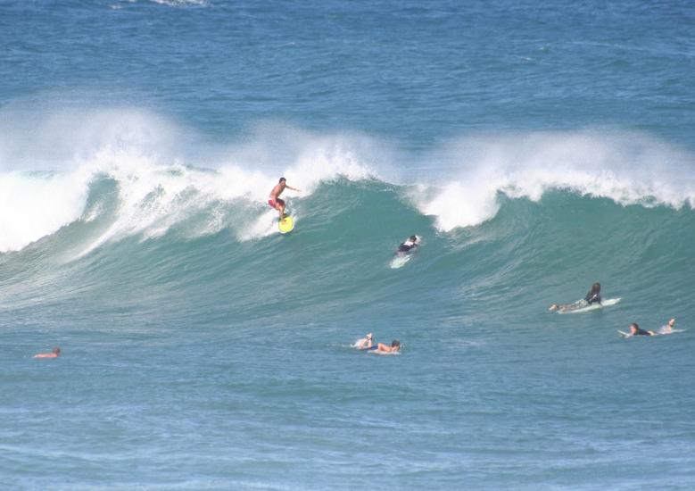 Surfari photo 2