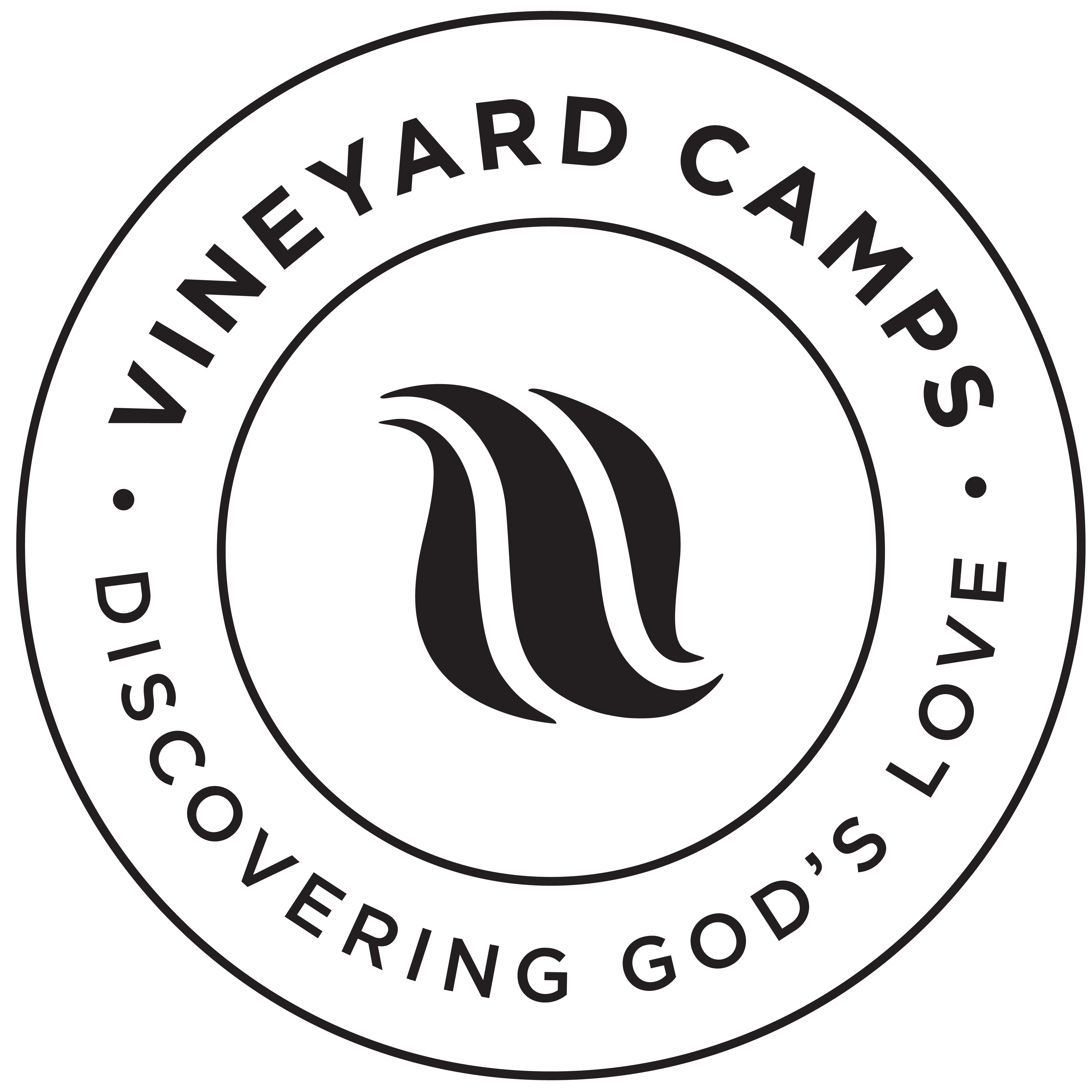 Mechanicfallsvineyard logo
