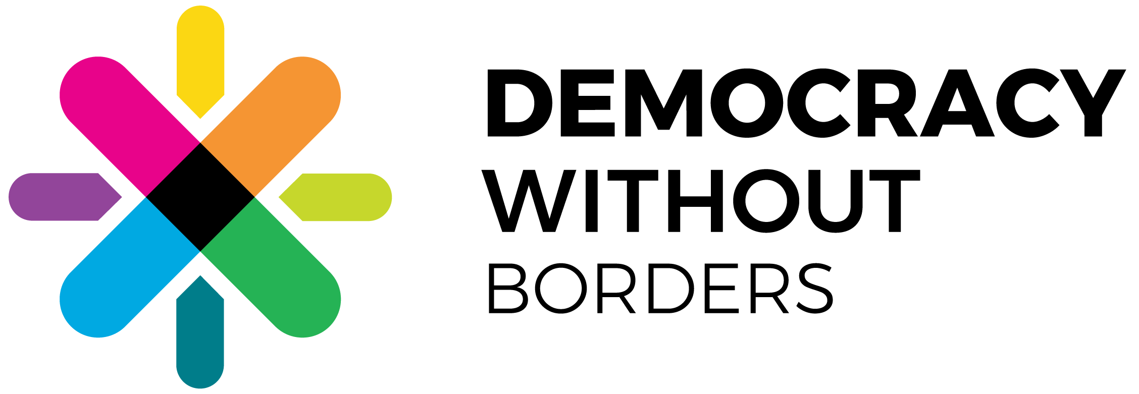 Democracy Without Borders logo